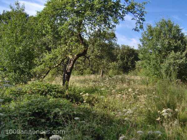 Terrains et autre