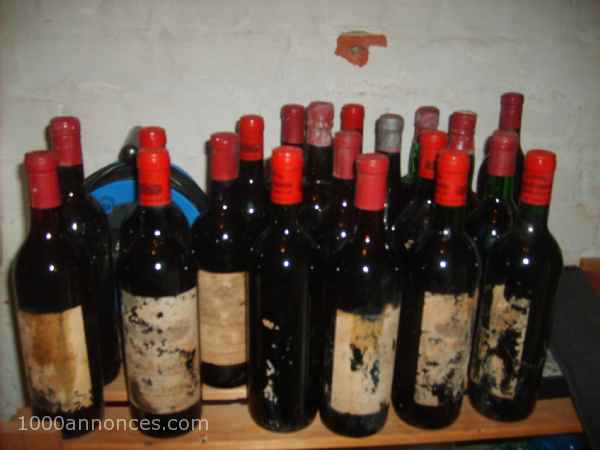 Antiquités et Collections