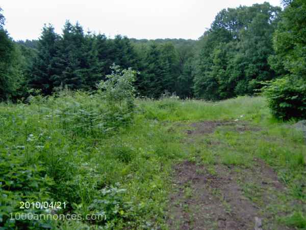 Terrains et autre