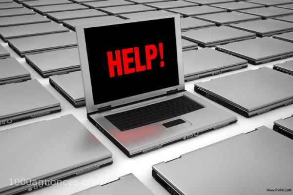 Services Informatique, Installation