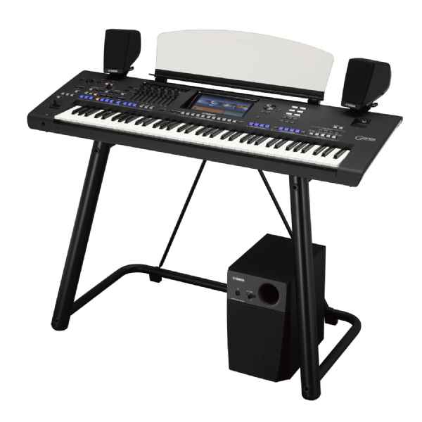 Instruments de Musique